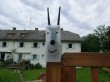 Thumbs/tn_009.jpg