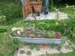 Thumbs/tn_017.jpg