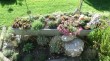 Thumbs/tn_020.jpg