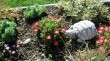 Thumbs/tn_022.jpg