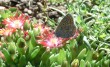 Thumbs/tn_026.jpg