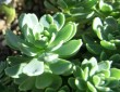 Thumbs/tn_027.jpg