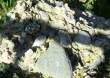 Thumbs/tn_036.jpg