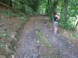 Thumbs/tn_007.jpg