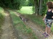 Thumbs/tn_008.jpg