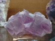 Thumbs/tn_038.jpg