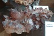 Thumbs/tn_039.jpg