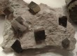 Thumbs/tn_043.jpg
