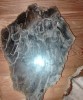 Thumbs/tn_046.jpg