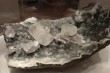 Thumbs/tn_050.jpg