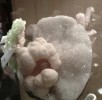 Thumbs/tn_053.jpg