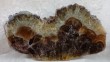 Thumbs/tn_064.jpg