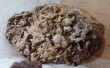 Thumbs/tn_065.jpg