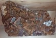 Thumbs/tn_066.jpg