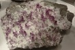 Thumbs/tn_077.jpg