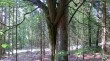 Thumbs/tn_alterherrgott11.jpg
