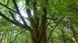Thumbs/tn_alterherrgott12.jpg